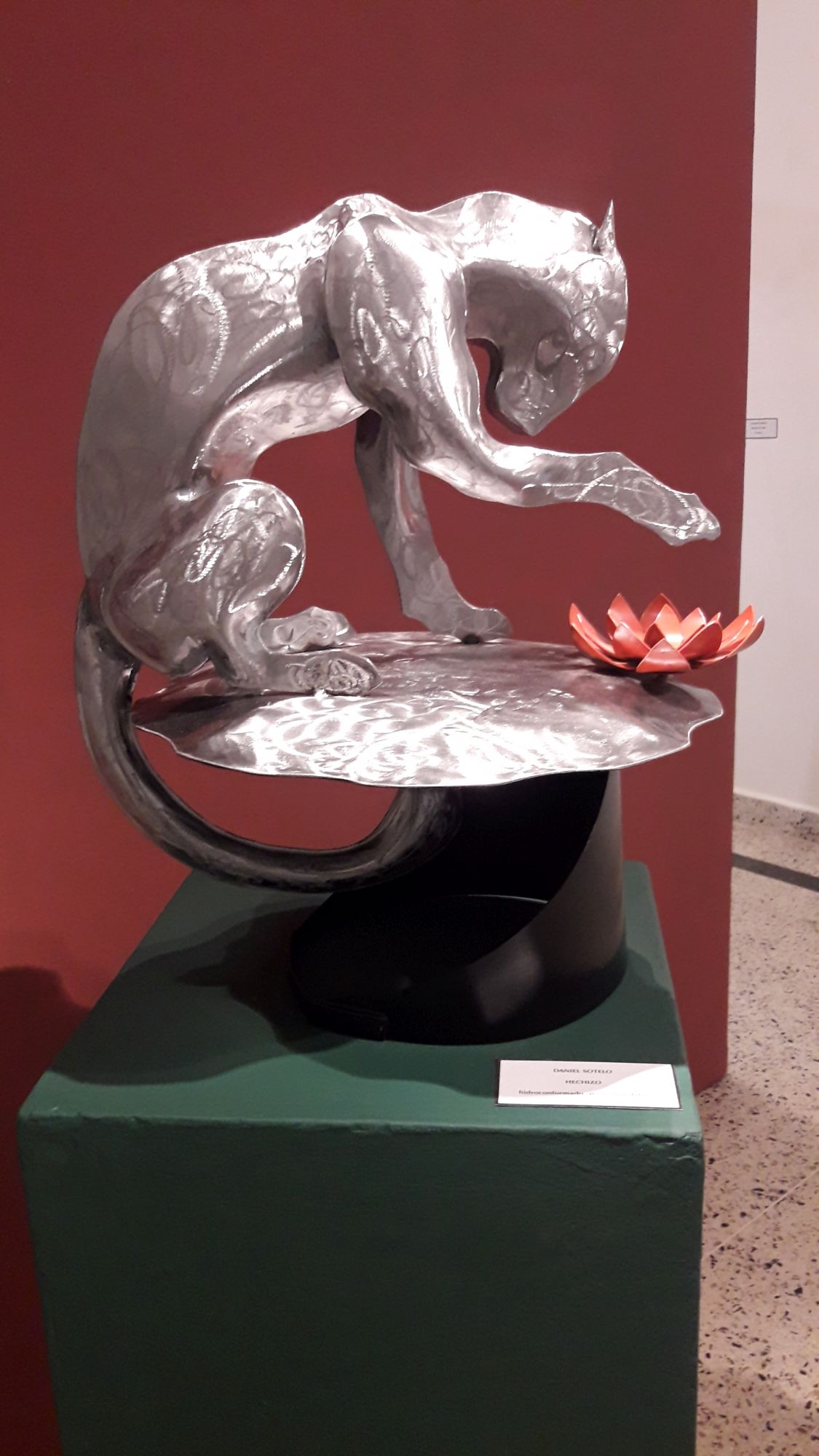 Muestra BOTÁNICAS IMAGINADAS en el Museo Vidal