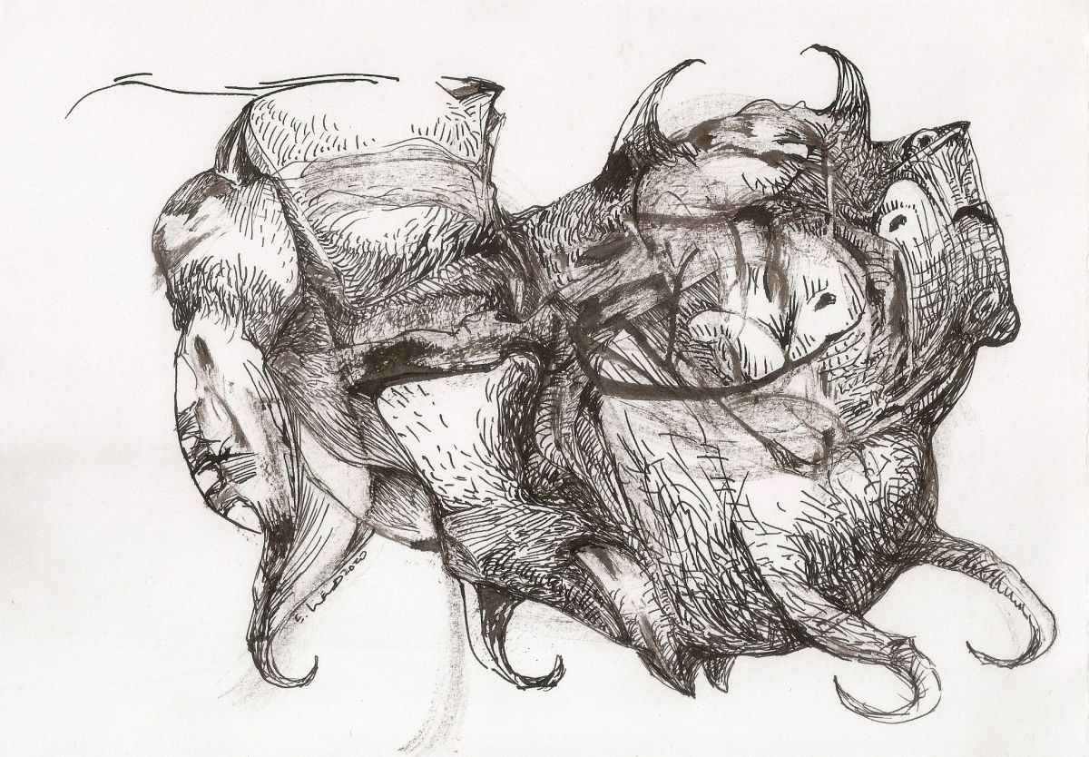 TORO, de Eugenio Led